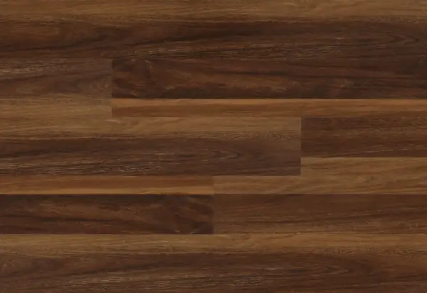 Teak - Image 2